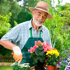 Jardineros