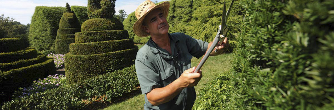 Mantenimiento y Limpieza de Jardines. Empresas de Jardineria.