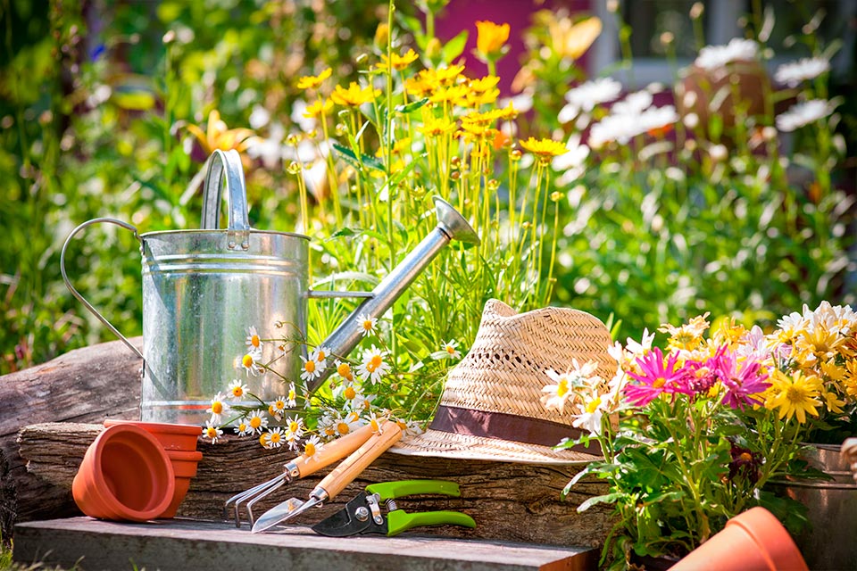 Jardinería