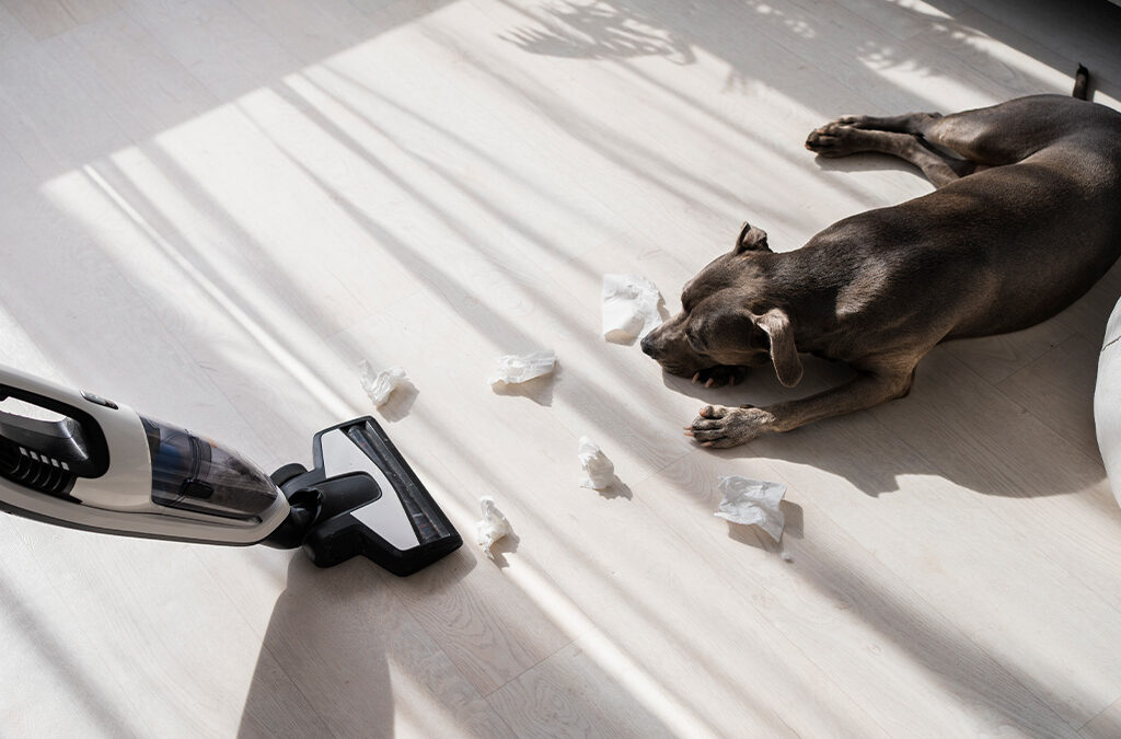 Limpieza en casas con mascotas