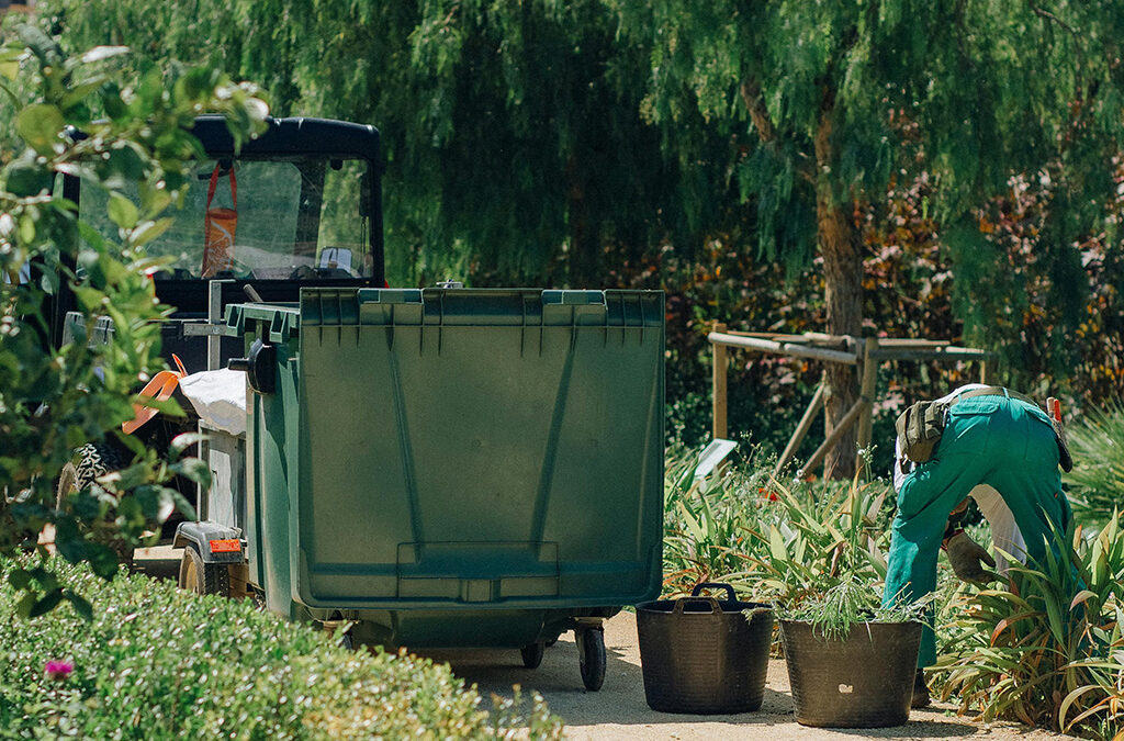 Mantenimiento de jardines en otoño