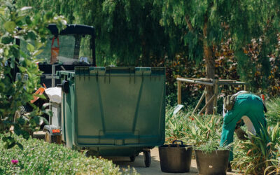 Mantenimiento de jardines en otoño: cuidados esenciales para tu jardín