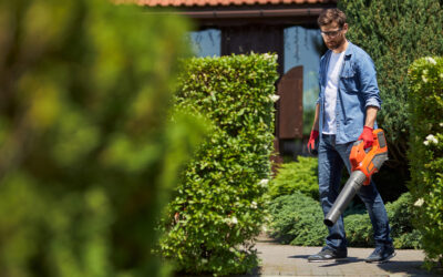 Beneficios del mantenimiento de zonas verdes para empresas: claves que marcan la diferencia