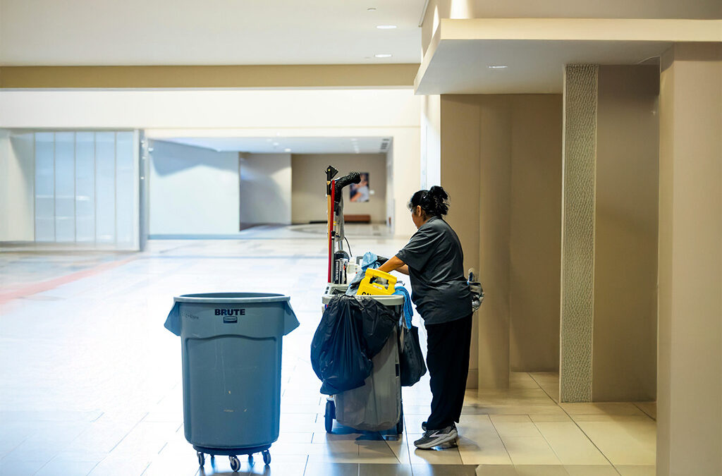 diferencia entre limpiar. sanitizar y desinfectar