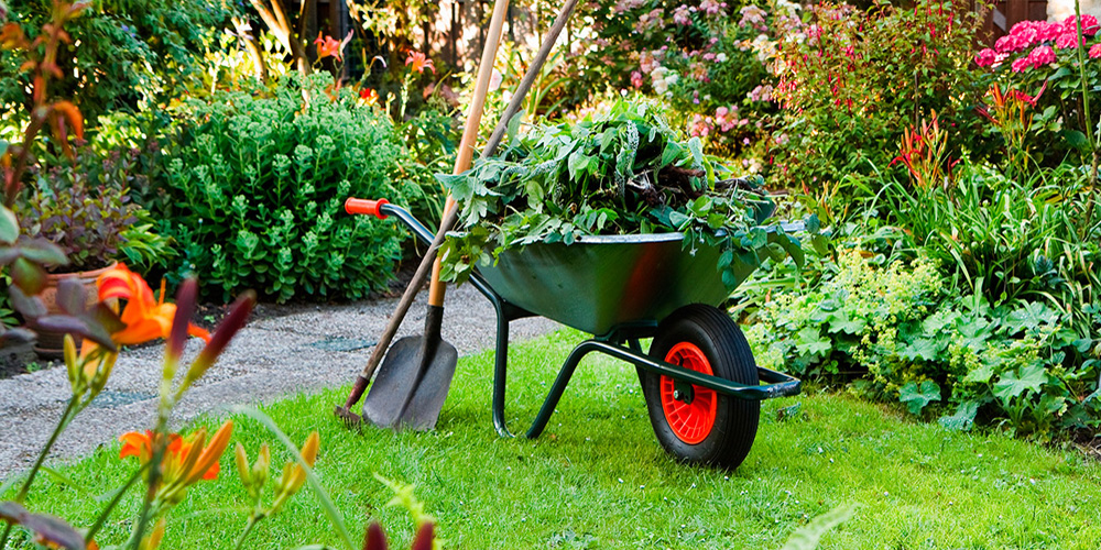 mantenimiento de jardines